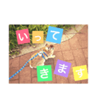 うさぎの福（個別スタンプ：2）