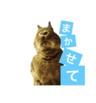うさぎの福（個別スタンプ：7）
