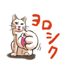 のほほん猫（個別スタンプ：2）