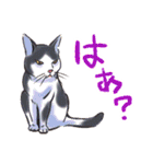 のほほん猫（個別スタンプ：20）