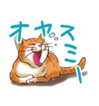 のほほん猫（個別スタンプ：21）