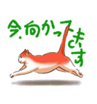 のほほん猫（個別スタンプ：24）