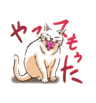 のほほん猫（個別スタンプ：27）