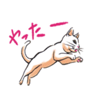 のほほん猫（個別スタンプ：30）