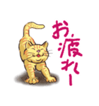のほほん猫（個別スタンプ：31）