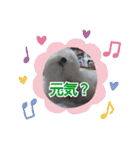 マルプーのとんとん日記。2（個別スタンプ：15）