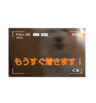 マルプーのとんとん日記。2（個別スタンプ：26）