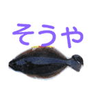 rirista4（個別スタンプ：1）