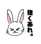 ハードボイルド兎（個別スタンプ：6）