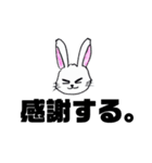 ハードボイルド兎（個別スタンプ：7）