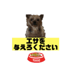 うちの、えいきちくん。第2弾（個別スタンプ：7）