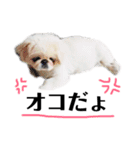ミカンちゃんの日常会話（個別スタンプ：7）
