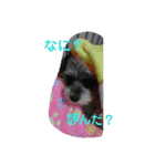 あさみんの日常（個別スタンプ：2）