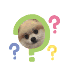 Collon the pom（個別スタンプ：3）
