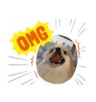 Collon the pom（個別スタンプ：7）