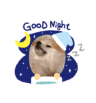 Collon the pom（個別スタンプ：14）
