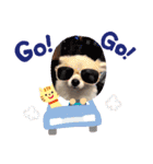Collon the pom（個別スタンプ：19）