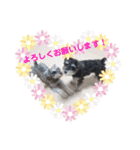 ジャック＆ウィル2（個別スタンプ：9）