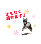 ジャック＆ウィル2（個別スタンプ：12）