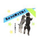 ジャック＆ウィル2（個別スタンプ：19）