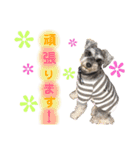 ジャック＆ウィル2（個別スタンプ：20）