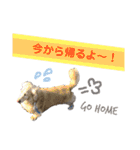ジャック＆ウィル2（個別スタンプ：21）