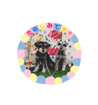 ジャック＆ウィル2（個別スタンプ：22）