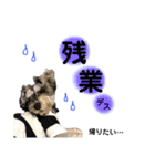ジャック＆ウィル2（個別スタンプ：23）