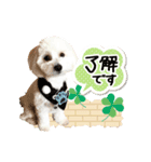 マルプーのサンク君スタンプ（個別スタンプ：5）