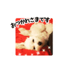 マルプーのサンク君スタンプ（個別スタンプ：6）