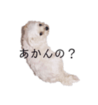 くるみといっしょ（個別スタンプ：3）