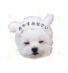くるみといっしょ（個別スタンプ：35）