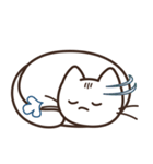猫「Oya」（個別スタンプ：18）
