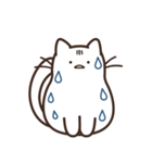 猫「Oya」（個別スタンプ：19）