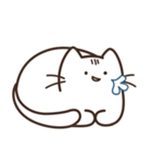 猫「Oya」（個別スタンプ：20）