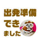 敬語でか文字かわいいチワワンコ（個別スタンプ：7）