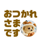 敬語でか文字かわいいチワワンコ（個別スタンプ：23）
