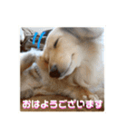 ビリーstamp（個別スタンプ：2）