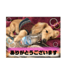 ビリーstamp（個別スタンプ：6）