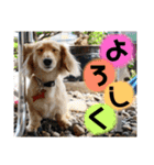 ビリーstamp（個別スタンプ：7）