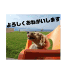 ビリーstamp（個別スタンプ：8）