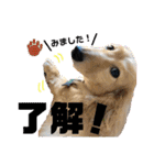 ビリーstamp（個別スタンプ：9）