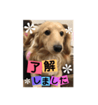 ビリーstamp（個別スタンプ：10）
