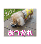 ビリーstamp（個別スタンプ：13）