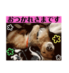 ビリーstamp（個別スタンプ：14）