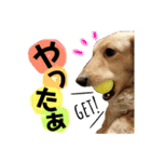 ビリーstamp（個別スタンプ：18）