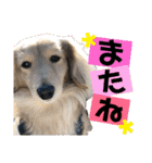 ビリーstamp（個別スタンプ：32）