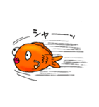 人間っぽい金魚、きんちゃんの日常（個別スタンプ：3）