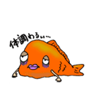 人間っぽい金魚、きんちゃんの日常（個別スタンプ：30）