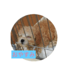 マロンとマロ（個別スタンプ：2）